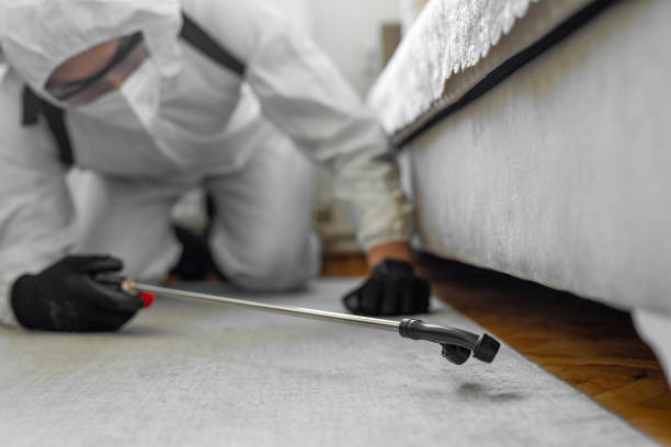 Professional Cockroach Control technician working in Weston Mills, NY